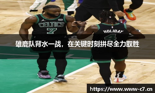 c7娱乐