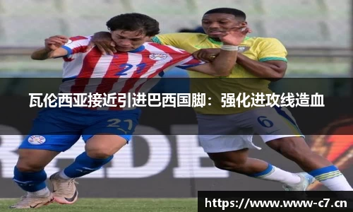 瓦伦西亚接近引进巴西国脚：强化进攻线造血