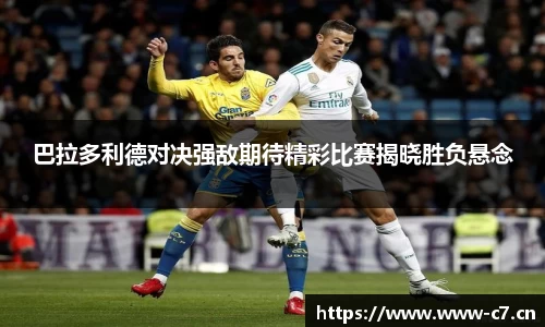 c7娱乐官网